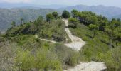 Trail On foot Ventimiglia - Sentiero Balcone Mediterraneo T1 - Photo 8