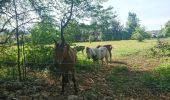 Percorso Marcia Dortan - lac du coiselet - Photo 1