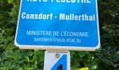 Randonnée Marche Consdorf - Consdorf - Mullerthal - Photo 15