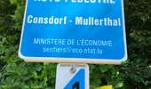 Randonnée Marche Consdorf - Consdorf - Mullerthal - Photo 15