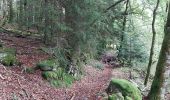 Tour Wandern Cros - Pont du diable 3 - Photo 3