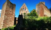 Excursión A pie Freudenberg - Rundwanderweg Freudenberg Liebeseiche F1: Schloss-Weg - Photo 7