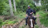 Trail Horseback riding Bastogne - Tripoux 2023 j2 - Photo 7