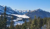 Tour Schneeschuhwandern Fillière - CREPON DE  MONTOULIVERT - Photo 2