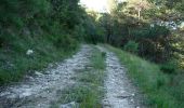 Trail Walking Eygluy-Escoulin - Le Taillefer - Escoulin-18969835 - Photo 13