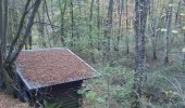 Randonnée Marche Theux - becco . bois renard . forestia le goulag des animaux . jevoumont . heid de fer . becco  - Photo 6