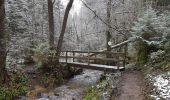 Randonnée Marche Stavelot - Francorchamp  (Neuville) - Photo 3