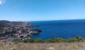 Trail Walking Cerbère - cerbère. cap cerbère. coll dels belitras . puig dels frères. cerbère - Photo 11