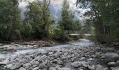 Tour Wandern Vallouise-Pelvoux - Cascade de la Pisse et pont des places - Photo 4