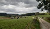 Tour Wandern Vielsalm - fraiture - plateau des tailles  - Photo 4