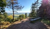 Trail Walking Saint-Jean-Saverne - circuit, St Michel, château warthenberg - Photo 11