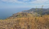 Trail Walking Cerbère - Cerbère Pyrénées Orientales - Photo 11