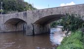 Trail Walking Comblain-au-Pont - ambleve . pic de Napoléon . roches noires . ourthe  - Photo 2