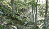 Tour Wandern Céret - pic des salines depuis fontfrede via coll del pou de la neu . pic des salines .coll des cirerers  . fontfrede - Photo 16