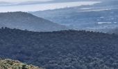 Trail Walking Hyères - N3 1er Borrels - Photo 1