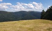 Tocht Elektrische fiets La Bresse - petit tour de la bresse - Photo 5