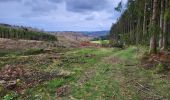 Tocht Stappen Bouillon - Cornimont 100324 - Photo 1