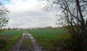 Trail Walking Oissel - 20231128-les essarts cool - Photo 12