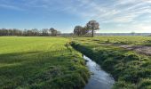 Trail Walking Herentals - Herentals 24,7 km - Photo 10