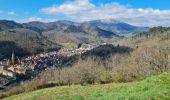 Trail Walking Vieux-Thann - Rando Marcheurs..27/03/2025.. - Photo 11