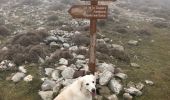 Tocht Stappen Peille - Cîme des Cabanelles - Photo 1