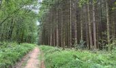 Trail Walking Renwez - Parc naturel régional des Ardennes - Photo 5