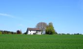 Tour Zu Fuß Küsnacht - Forch - Rehalp - Photo 8