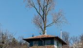 Randonnée A pied Weingarten - Über sanfte Hügel zur Schönen Aussicht - Photo 6