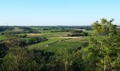 Trail Walking Val-du-Layon - St Aubin de Luigné - Photo 3