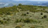 Tour Zu Fuß Rochemaure - SityTrail - Aubignas Chenavari 17km - Photo 2