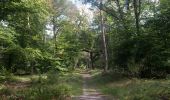 Trail On foot Fontainebleau - Sentier Denecourt-Colinet 7 - Photo 8