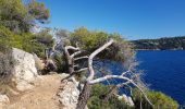 Trail Walking Nice - Ballade chemin des douaniers Nice-Villefranche  - Photo 10