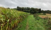 Trail Walking Messancy - La Charmouthienne_boucle_Sélange_14km_20190929 - Photo 2