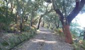 Trail On foot Monchique - Circuito da Picota (Rota das Árvores Monumentais) - Photo 4