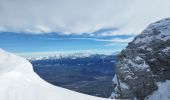 Randonnée Marche Lans-en-Vercors - raquette  - Photo 4