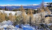 Tocht Ski randonnée Selonnet - 20210218 - Tête grosse - Chabanon - Selonnet - Photo 16