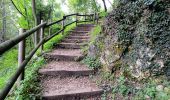 Percorso A piedi Piovene Rocchette - Sentiero dei Girolimini - Photo 3