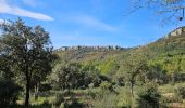 Trail Walking Cuers - Promenade sous les barres de Cuers, en partant du village de Cuers - Photo 5
