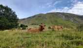 Tour Wandern Jarrier - jarrier -col de cochemin - Photo 17