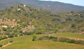 Tocht Stappen La Londe-les-Maures - SityTrail - Notre Dame des Maures-12-02-21 - Photo 7