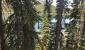 Tour Wandern Taggart Creek - Lake Taggart et Bradley - Grand Tetons  - Photo 1