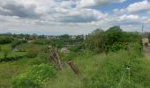 Trail Walking Bozouls - Le tour du trou de Bizoul - Photo 14