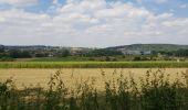 Tour Elektrofahrrad Ronse - Renaix - Ellezelles - Croisette - Saint-sauveur - Photo 1