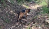 Trail  Gilette - La mesta pont Charle Albert - Photo 4