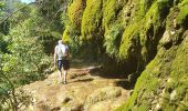 Excursión Senderismo Saint-Cézaire-sur-Siagne - si cezaire sur siagne - Photo 2