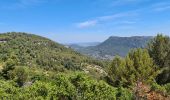 Randonnée Marche Évenos - Toulon Col du corps de garde Mont Caume - Photo 7