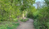 Excursión Senderismo Aquisgrán - Bismarcksturm Aachen Centrum Lousberg boucle park 15 km - Photo 19