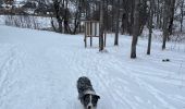 Tocht Stappen Valloire - Valloirette  - Photo 2