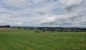 Trail Walking Habay - rando moulin d anlier 31/07/2021 - Photo 6