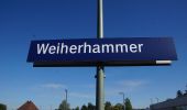Percorso A piedi Weiherhammer - Wanderweg Nr. 2 - Photo 9